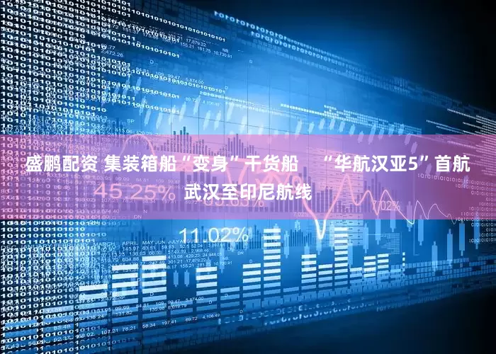 盛鹏配资 集装箱船“变身”干货船    “华航汉亚5”首航武汉至印尼航线