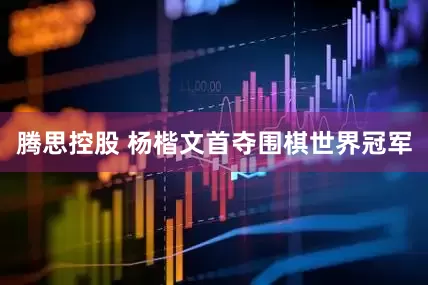 腾思控股 杨楷文首夺围棋世界冠军
