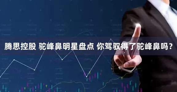 腾思控股 驼峰鼻明星盘点 你驾驭得了驼峰鼻吗？