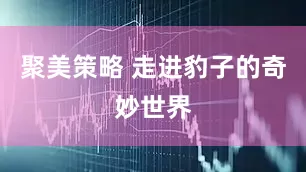 聚美策略 走进豹子的奇妙世界