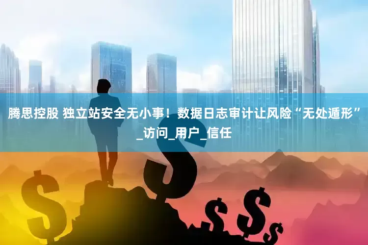腾思控股 独立站安全无小事！数据日志审计让风险“无处遁形”_访问_用户_信任